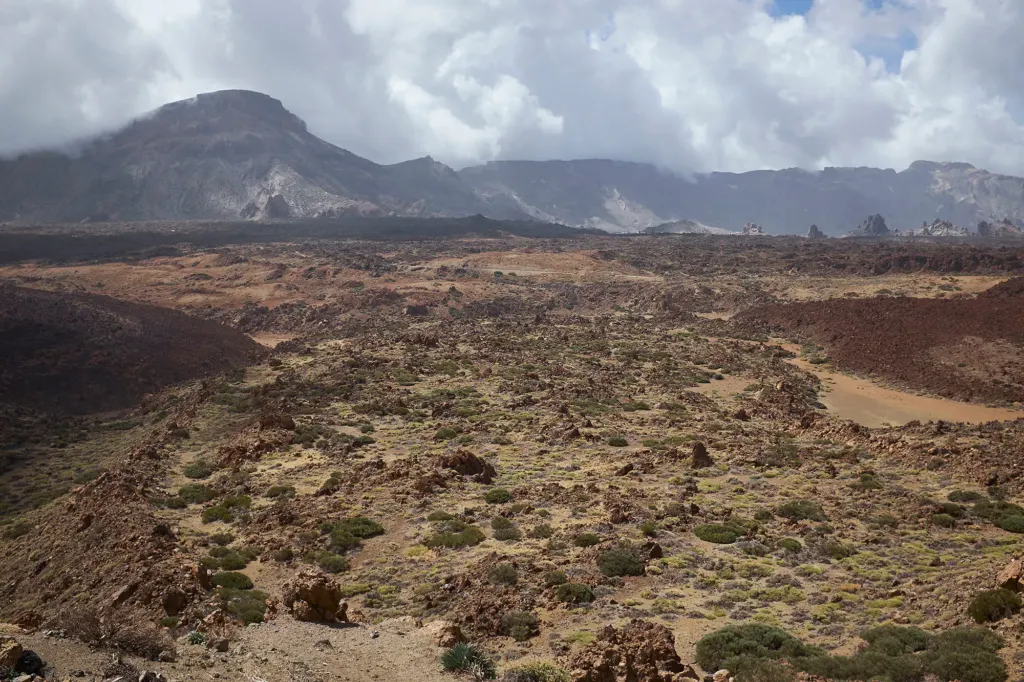 Las Canarias — landscape and travel photograph in Canary Islands, Spain, frame 17 of 28.